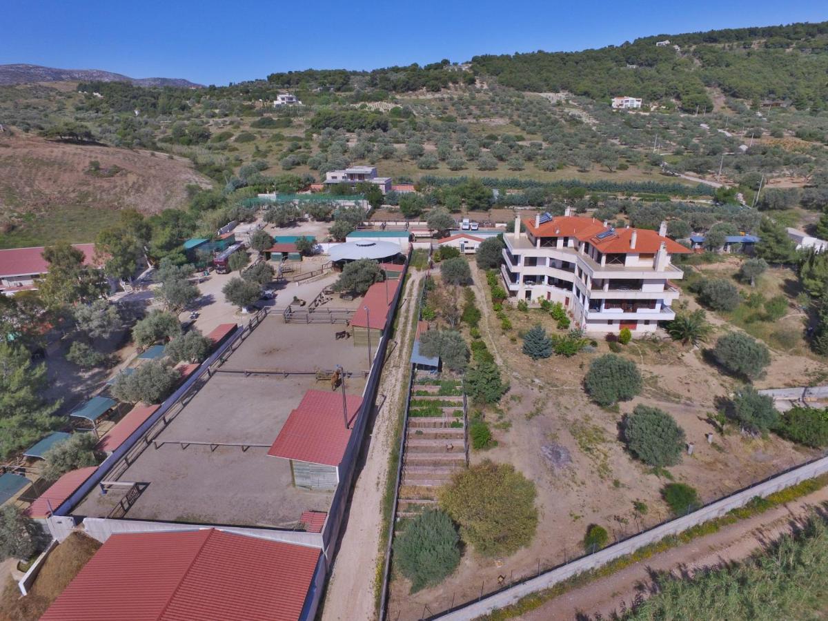KerateaΟδυσσεια, Κοντά Σε Αεροδρόμιο, Λιμάνια Και Θάλασσες公寓 外观 照片
