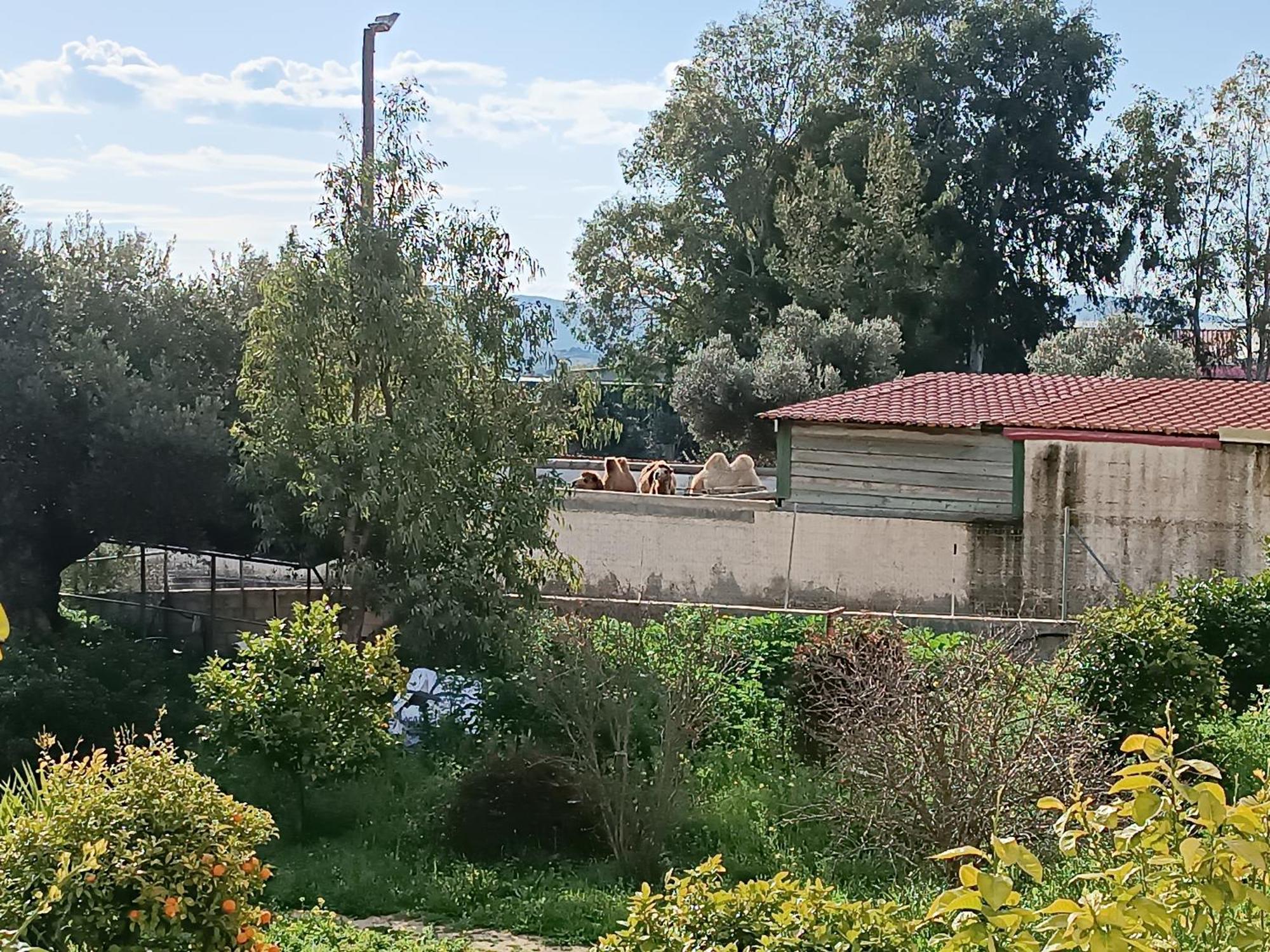 KerateaΟδυσσεια, Κοντά Σε Αεροδρόμιο, Λιμάνια Και Θάλασσες公寓 外观 照片